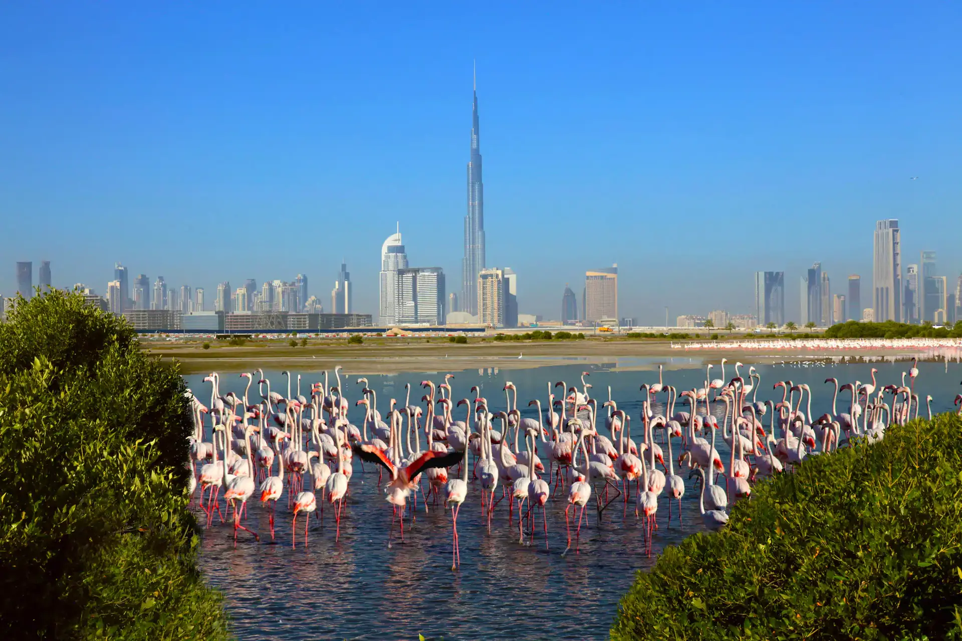 Ras Al Khor — Sobha One | Profound Properties, Dubai