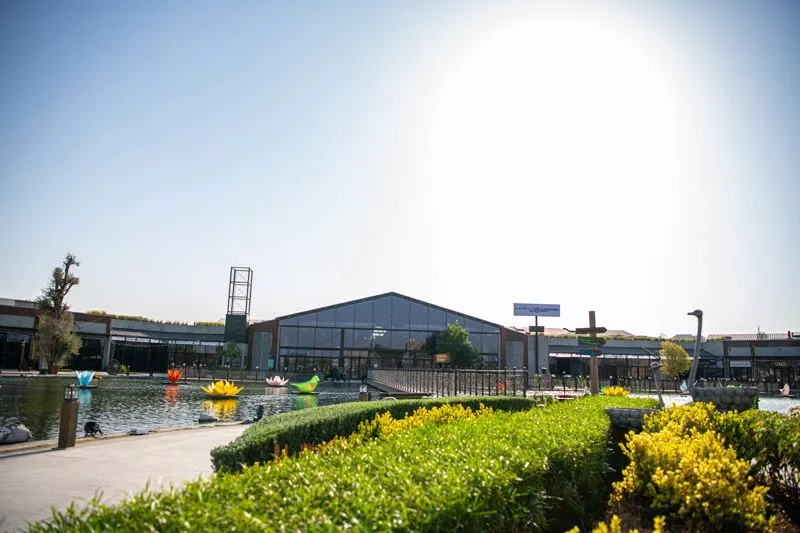 Historical Background