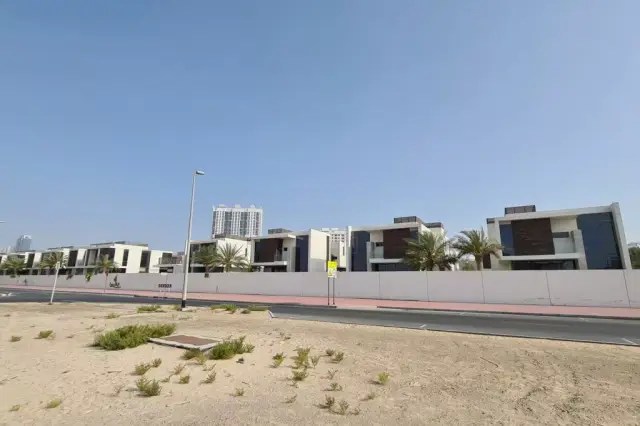 Historical Background of Al Wasl
