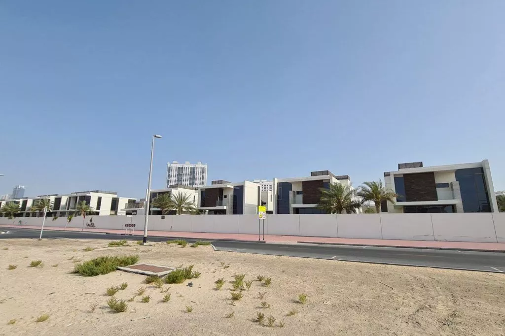 Historical Background of Al Wasl