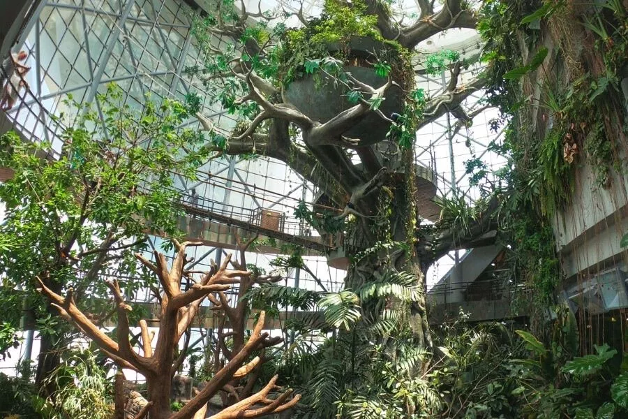 Historical Background of Al Wasl