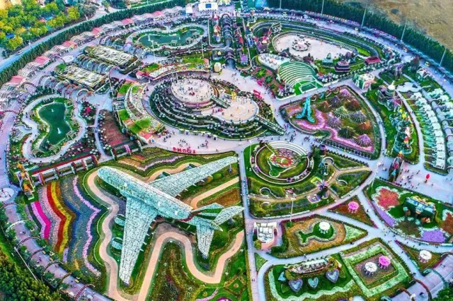 Historical Background of Dubai Science Park