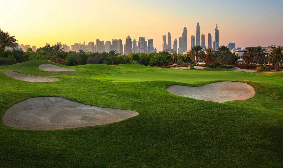 About The Meadows Community