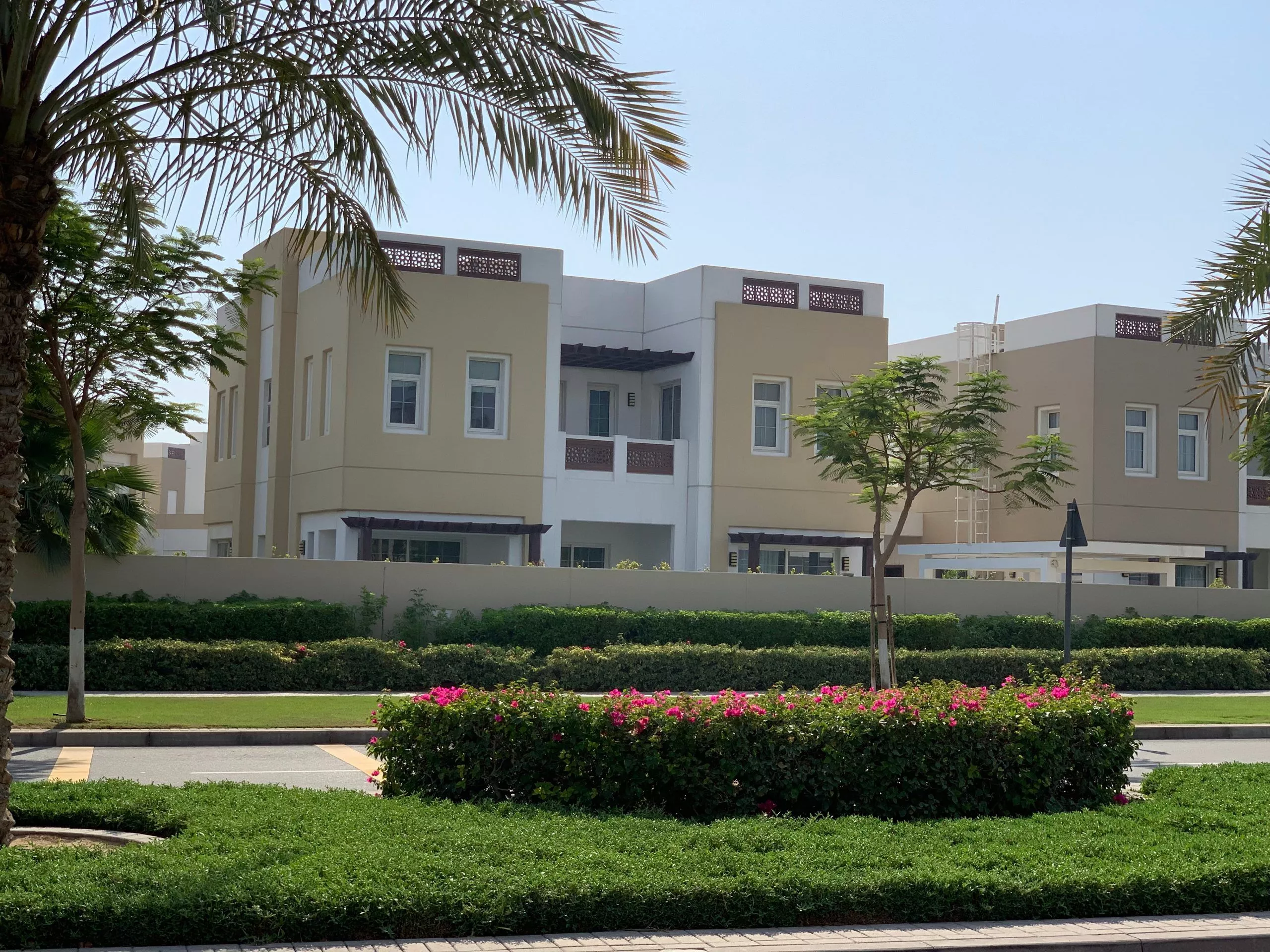 Schools, Healthcare, and Essential Services in Mudon