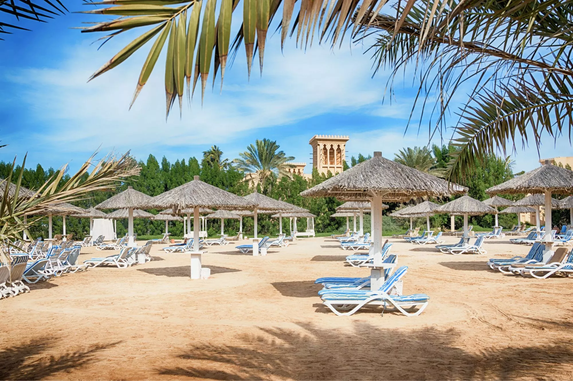 Education and Healthcare in Al Seer