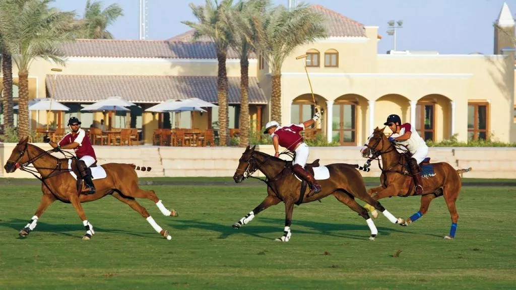 Residential and Community Features