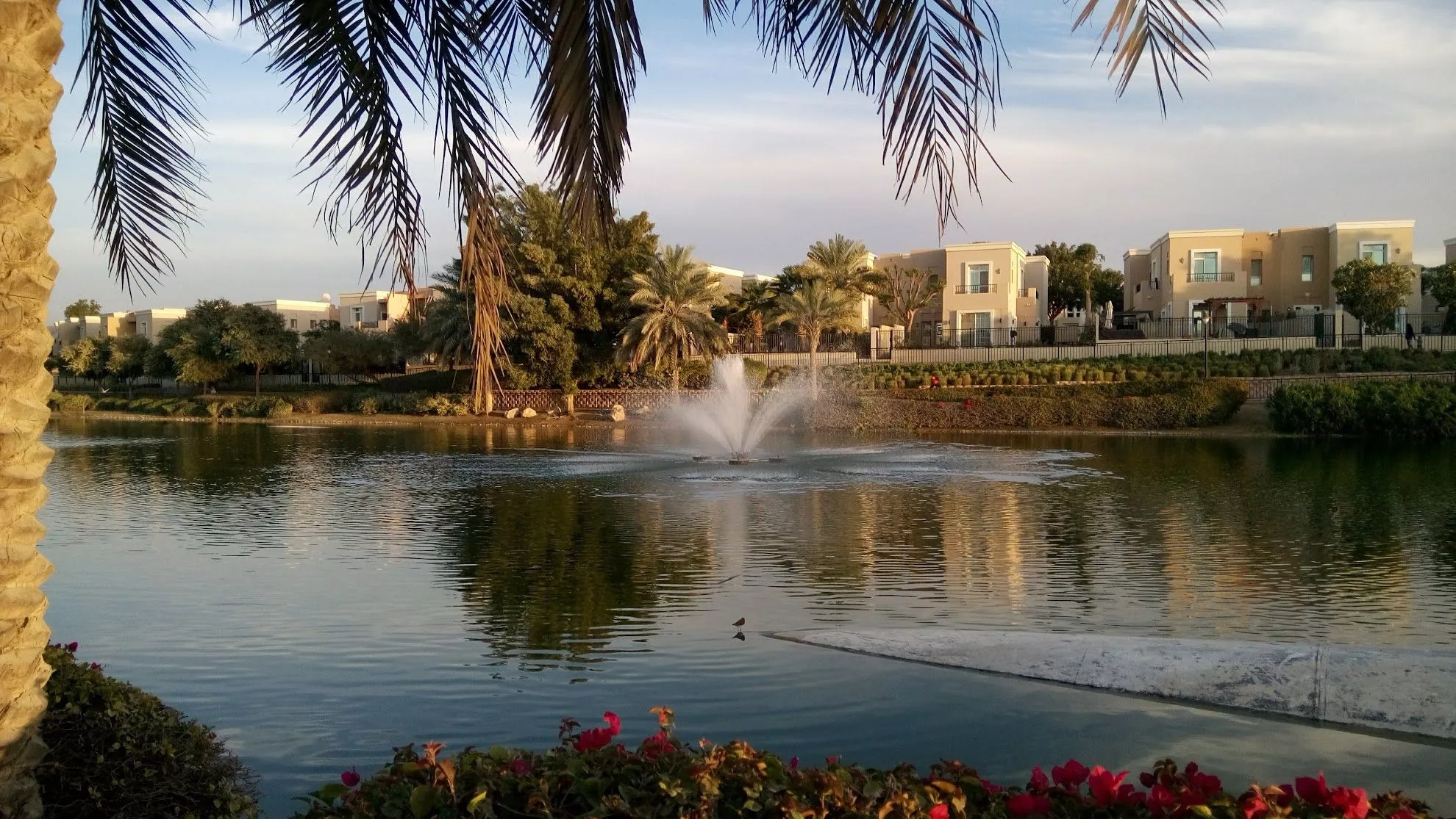 Popular Properties in the Area