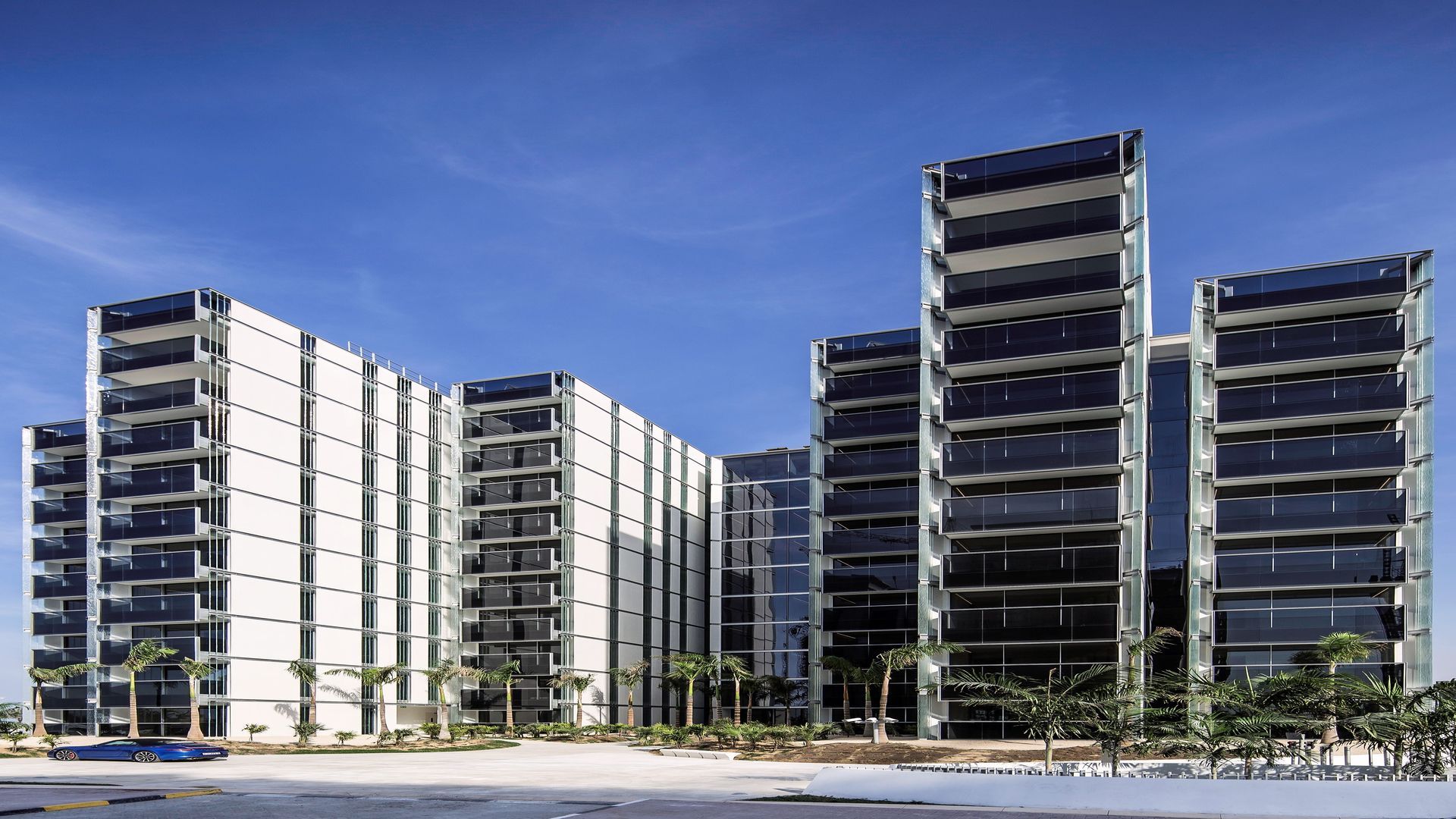 Developer Details Banner