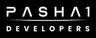 Pasha1 Developers