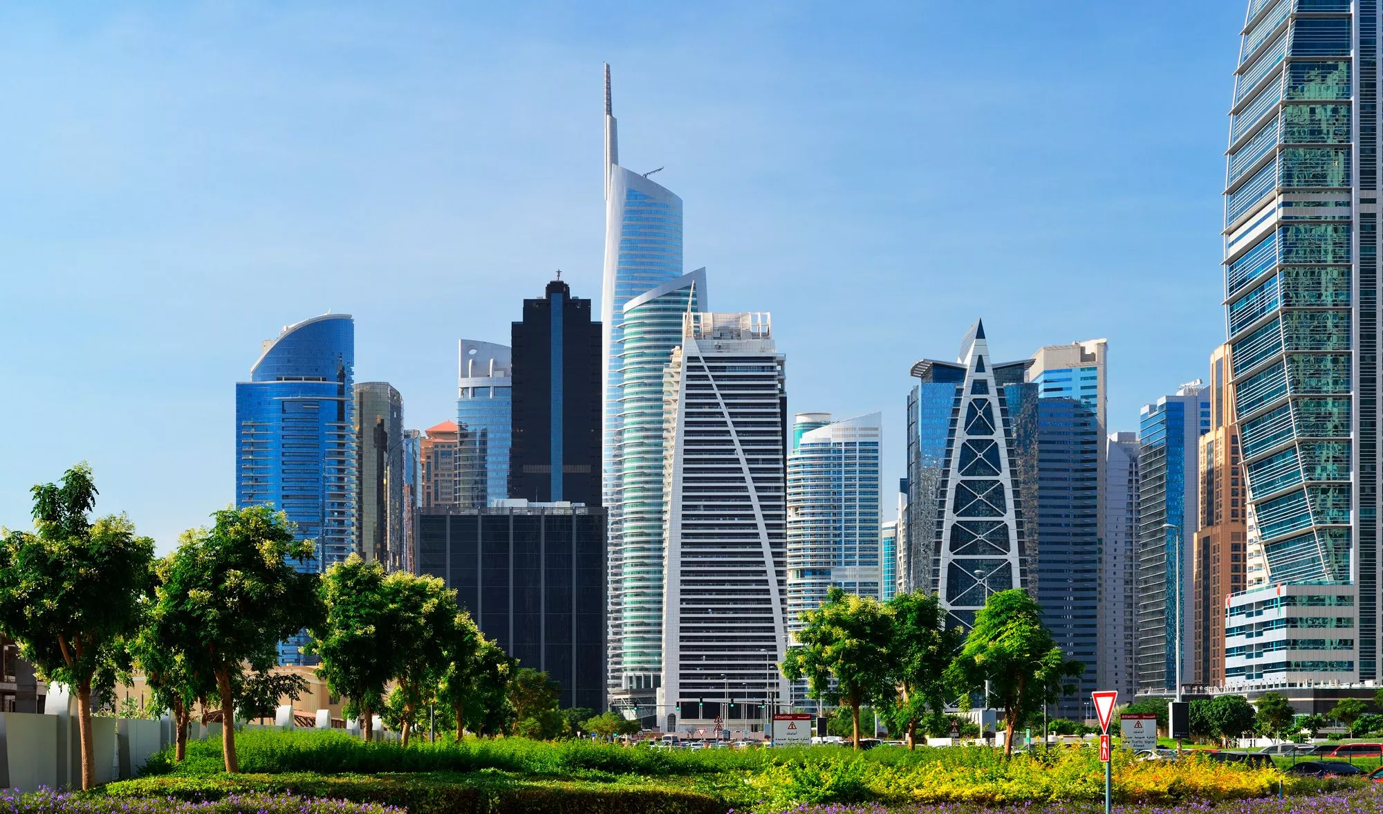 Developer Details Banner