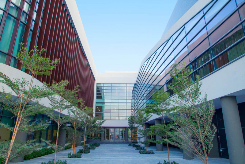 Schools, Healthcare, and Essential Services in MBR City