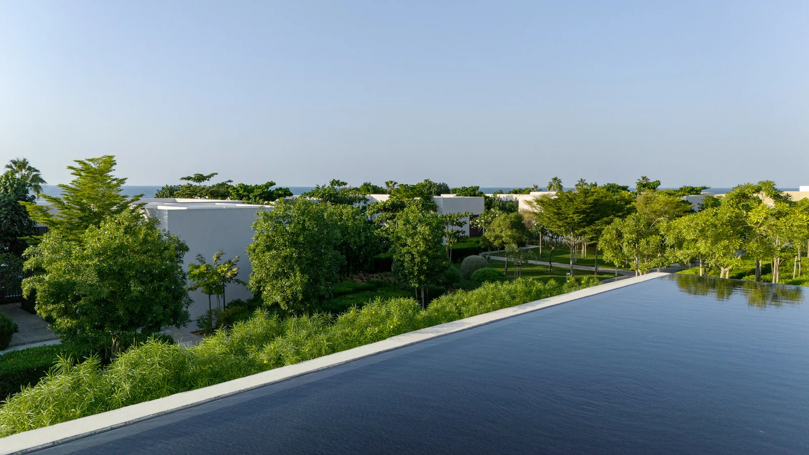 Developer Details Banner