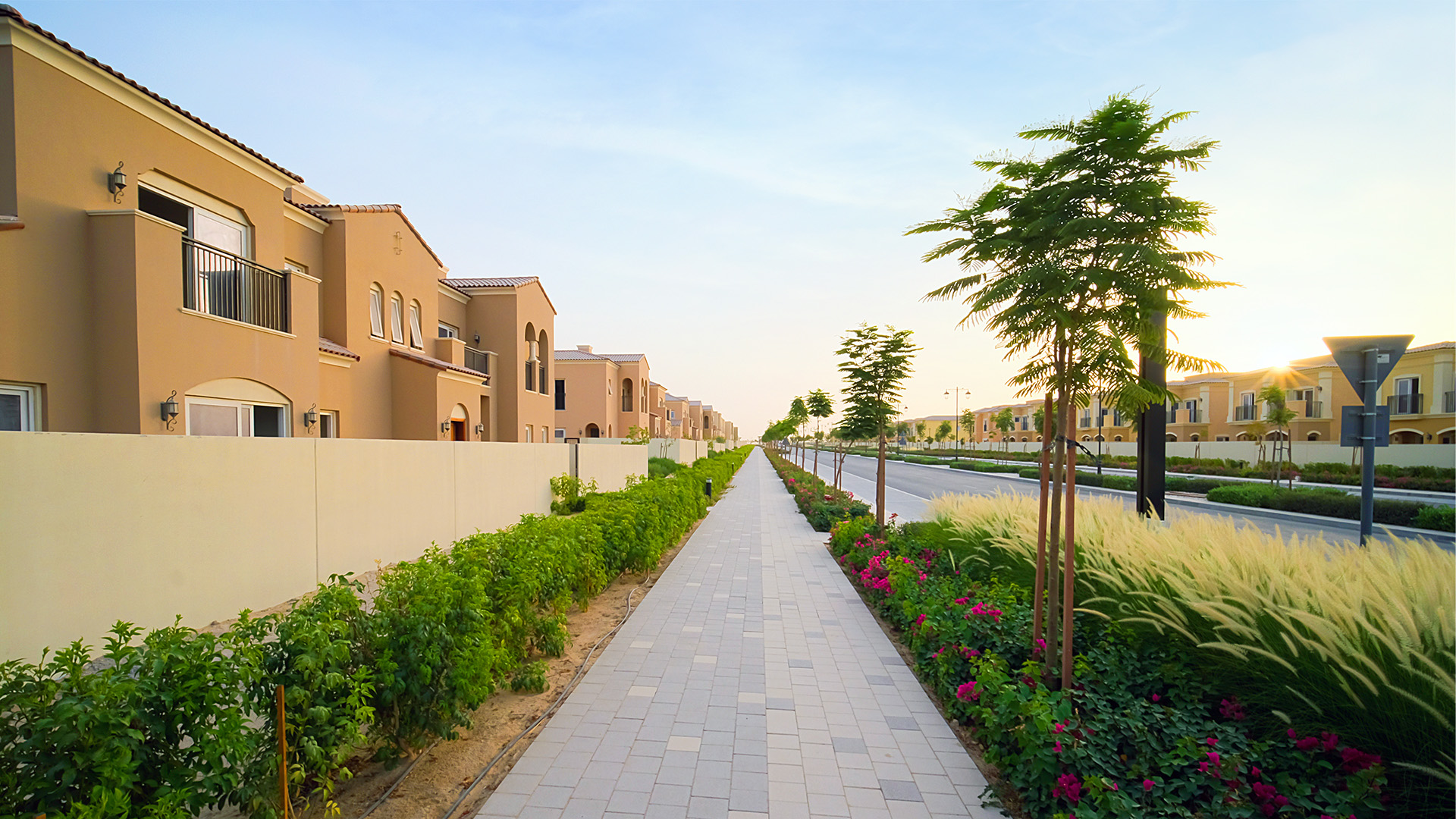 Developer Details Banner