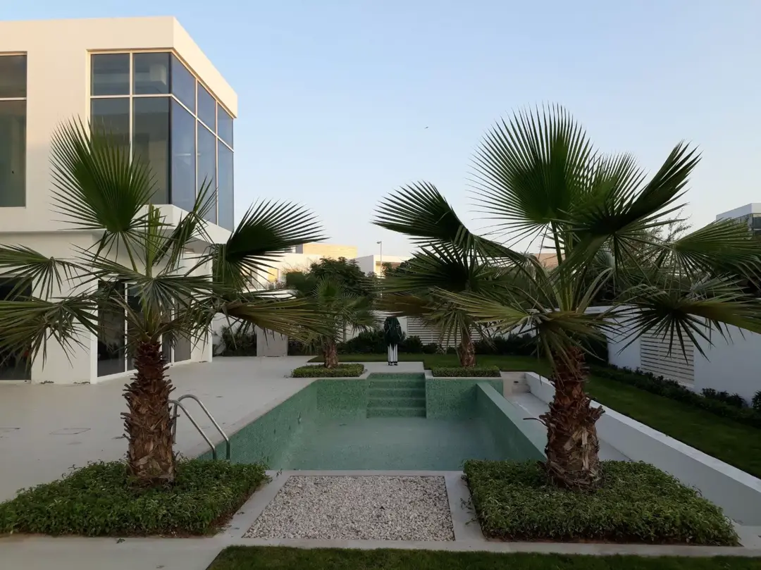 العش — مسبح — مسبح خارجي — amenity | Profound Properties, Dubai