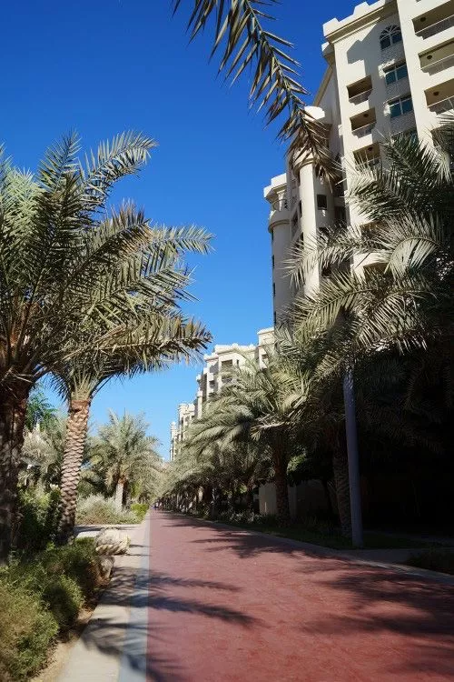 Shoreline Apartments