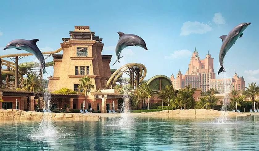 Unrivaled Location and Amenities