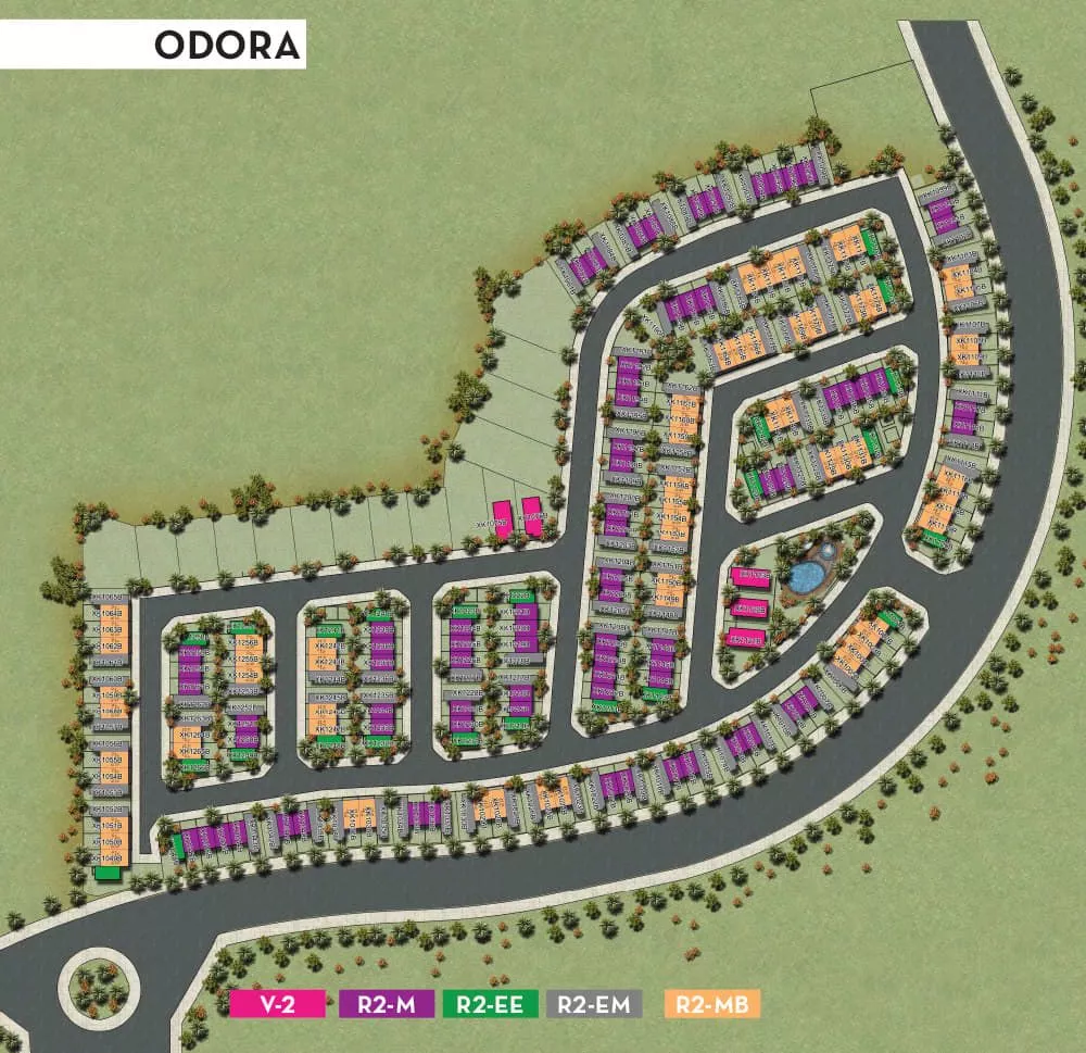 Odora
