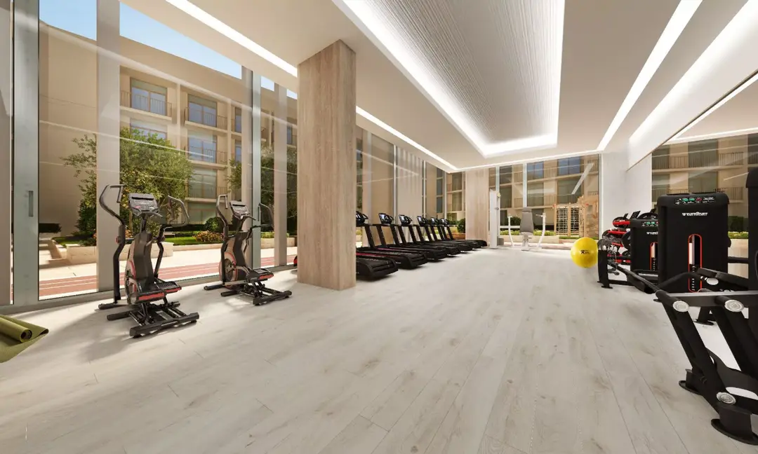 露玛22 — 体育 — 健身房 — amenity | Profound Properties, Dubai