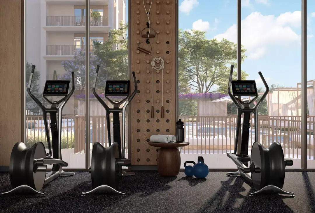 Мангровый — Спорт — Спортивный зал — amenity | Profound Properties, Dubai