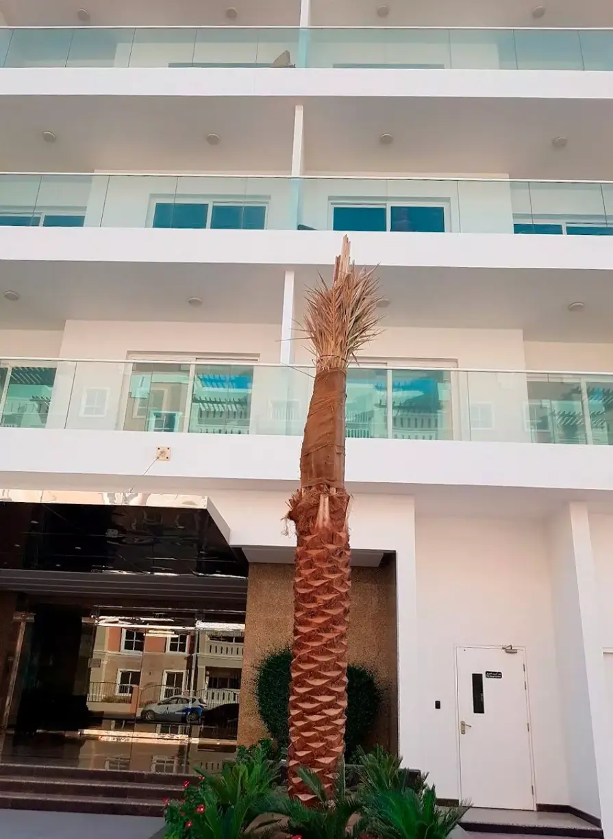 Experience the Best of Dubai Investment Park