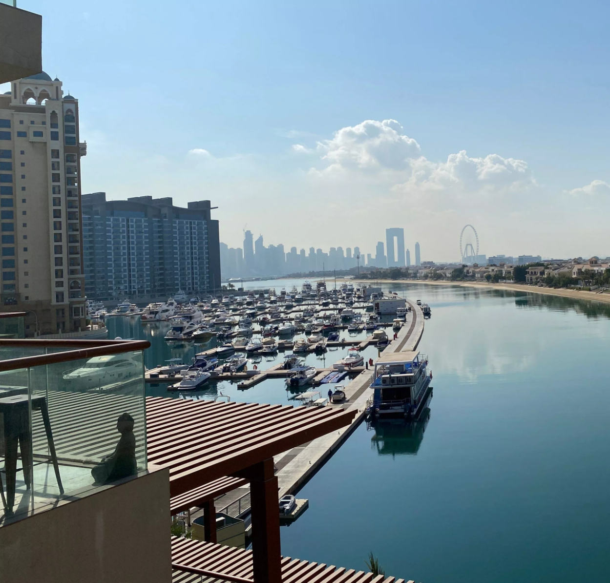 Palm Views