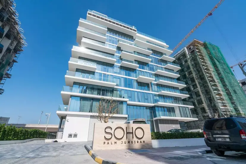 Soho Palm