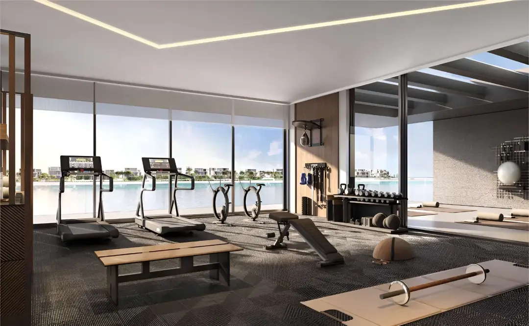 The Coral Collection Villas Palm Jebel Ali — Sports — Gym — amenity | Profound Properties, Dubai