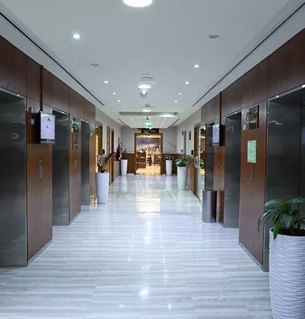 Damac Executive Heights