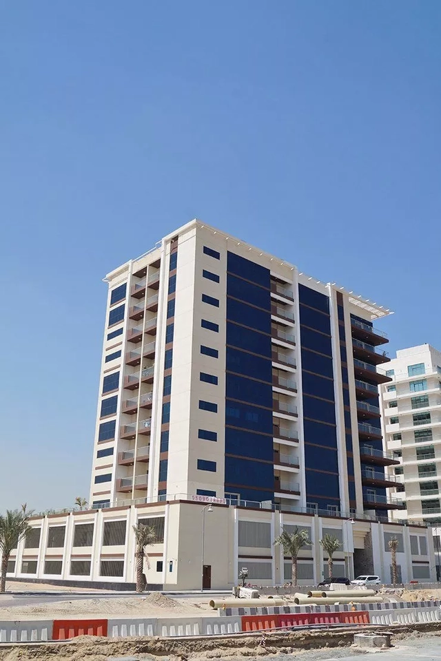 Tulip Oasis 5